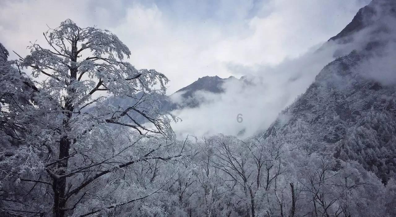 网贷逾期了还能乘坐高铁吗？游戏画面