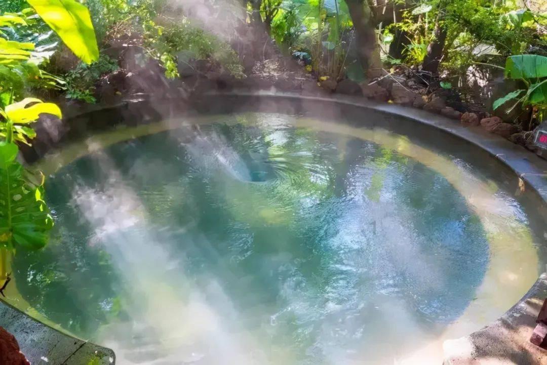 独步竹林