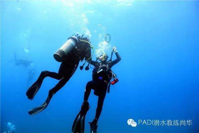 逗小猴开心系列199