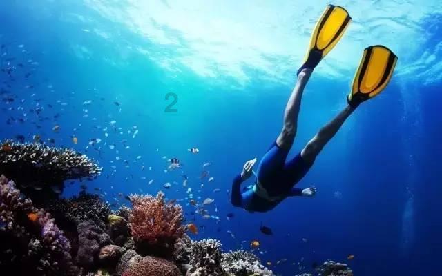勾践曾献给夫差2位美女，另一位美过西施，最后死的很可惜