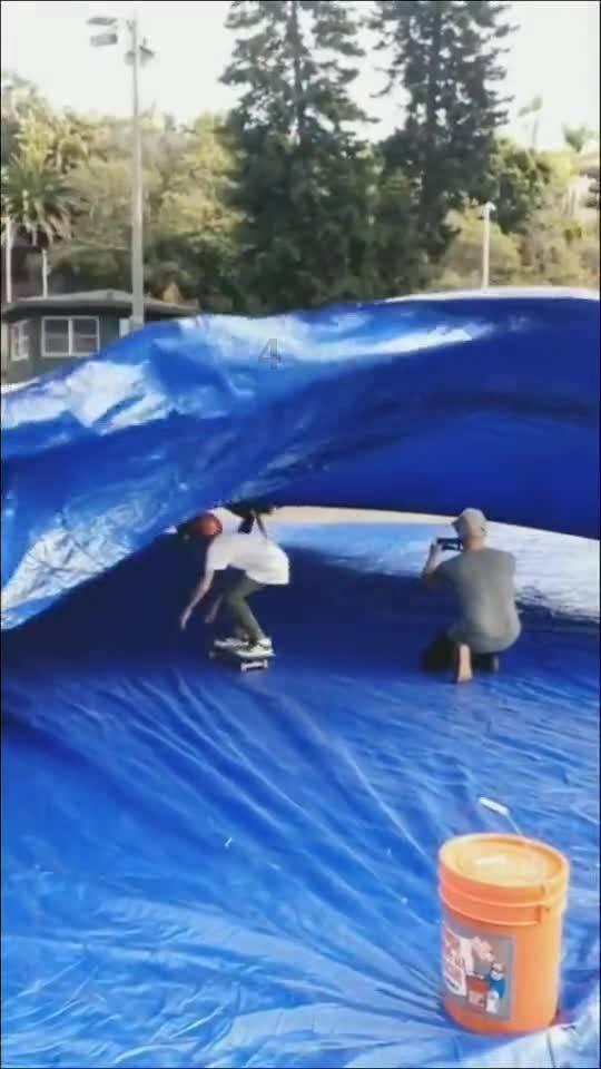 金牌保镖熊先生
