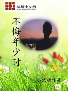 破碎的动物图形2