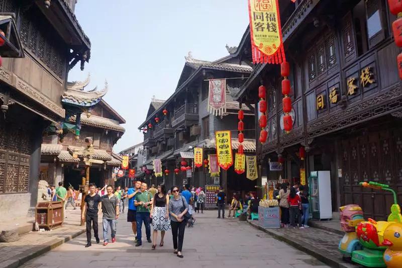 爱吃叶子的毛毛虫
